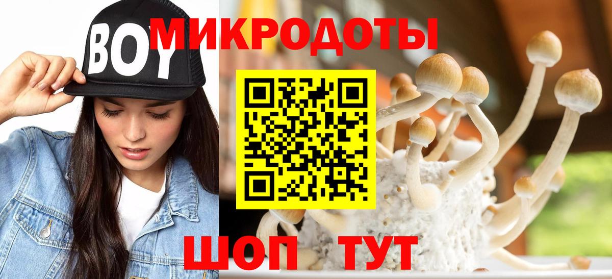 где купить наркотик  Галлюциногенные грибы ЛСД  Вход с VPN  Ярцево  Псилоцибиновые грибы ЛСД 